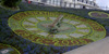 floral clock